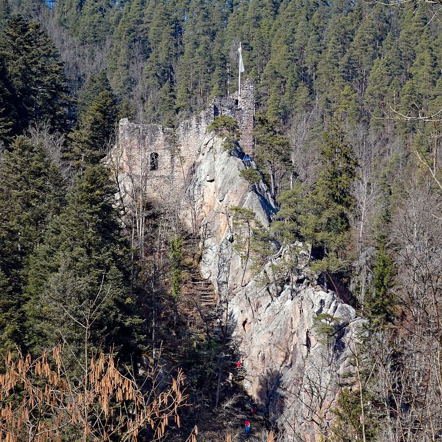 Felsen im Bernecktal im Fruehling 14
