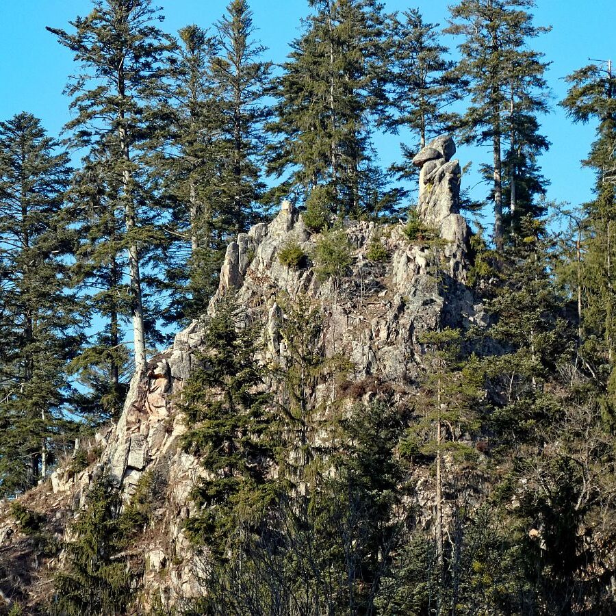 Felsen im Bernecktal im Fruehling 15