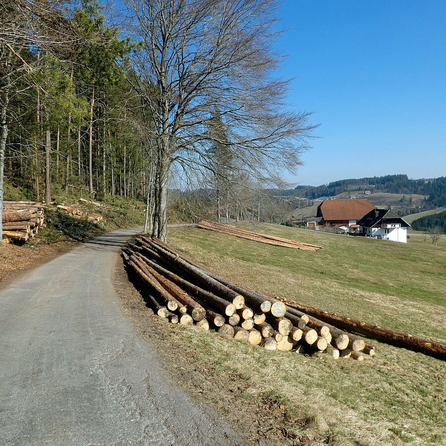 Holzvollernter in Tennenbronn 4