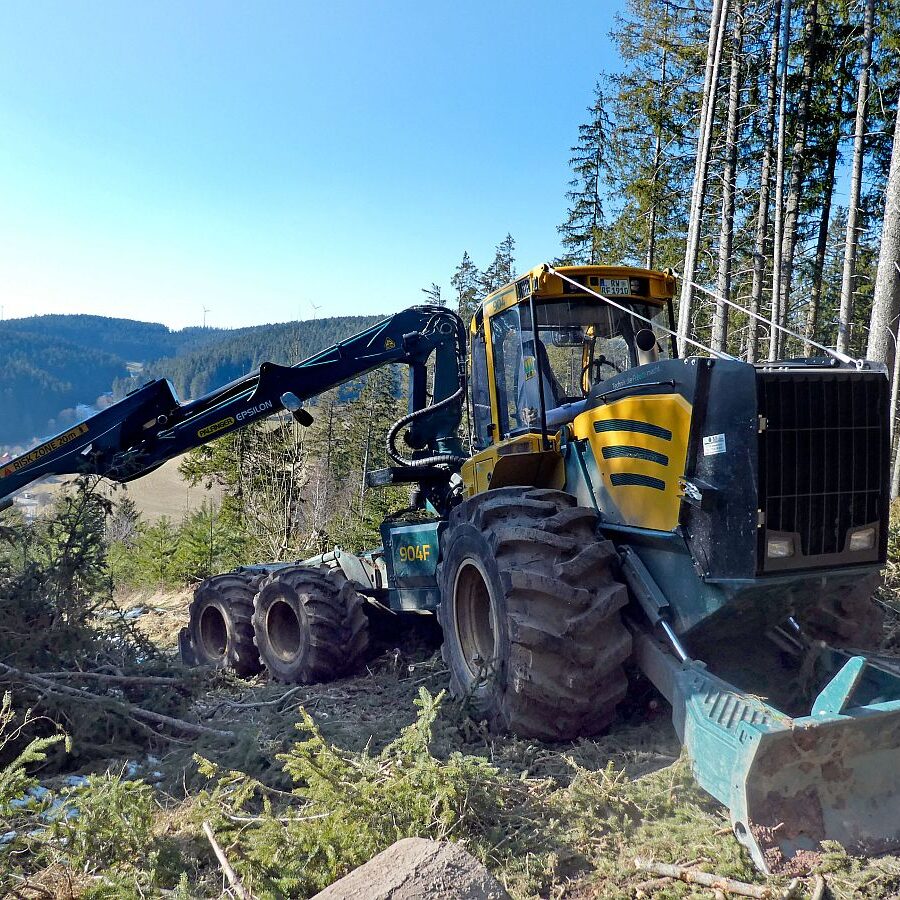 Holzvollernter in Tennenbronn 5