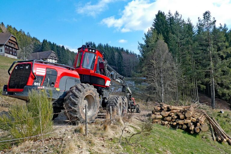 Holzvollernter in Tennenbronn 6