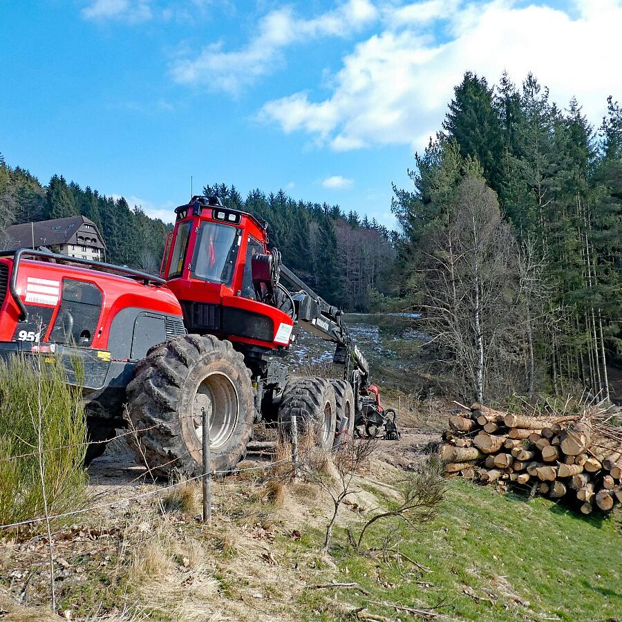 Holzvollernter in Tennenbronn 6