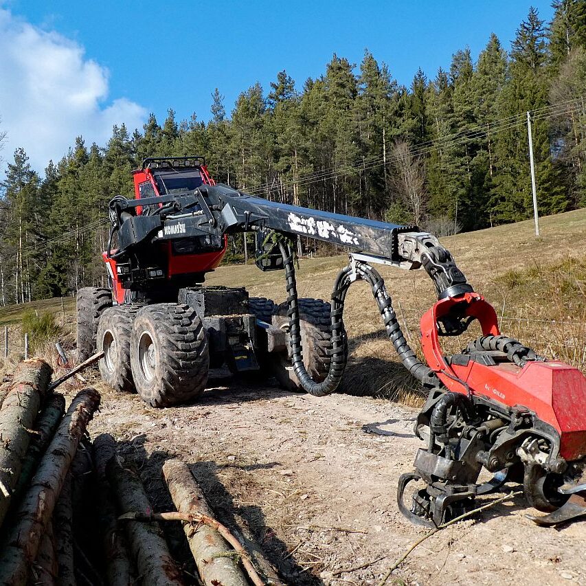 Holzvollernter in Tennenbronn 7