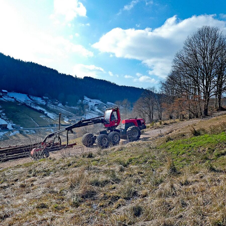 Holzvollernter in Tennenbronn 8