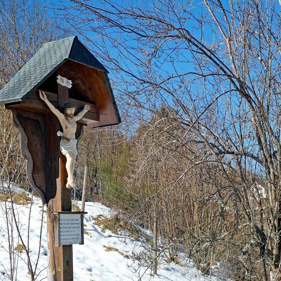 Letzter Schnee in Tennenbronn 1