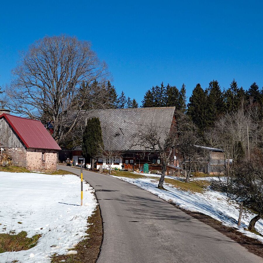 Letzter Schnee in Tennenbronn 10