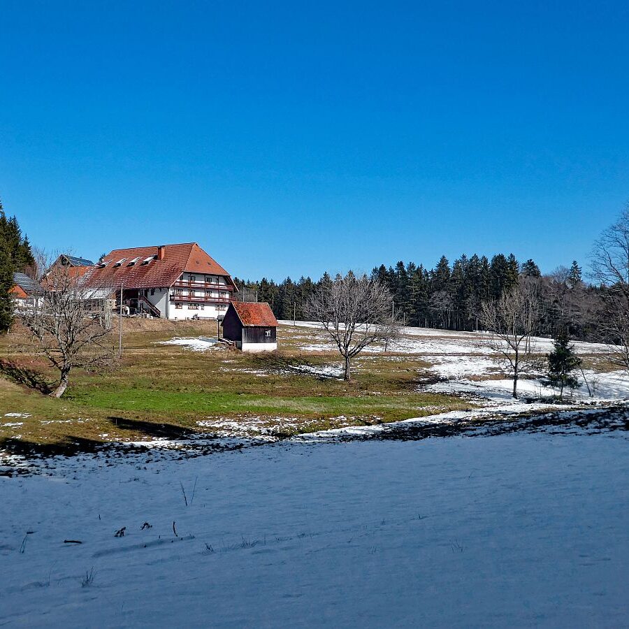 Letzter Schnee in Tennenbronn 11