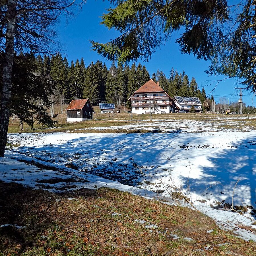 Letzter Schnee in Tennenbronn 12