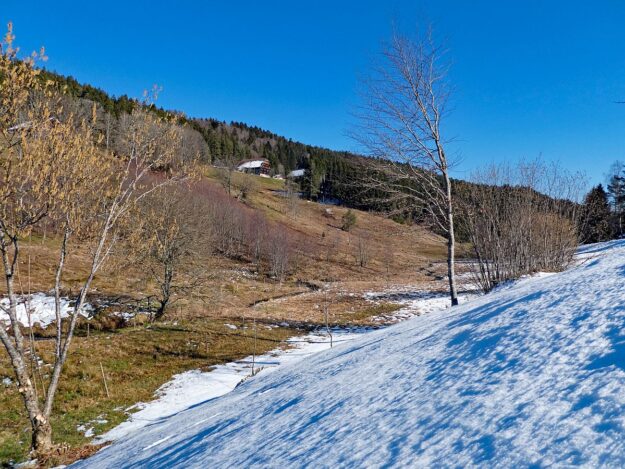 Letzter Schnee in Tennenbronn 13 Letzter Schnee in Tennenbronn 13