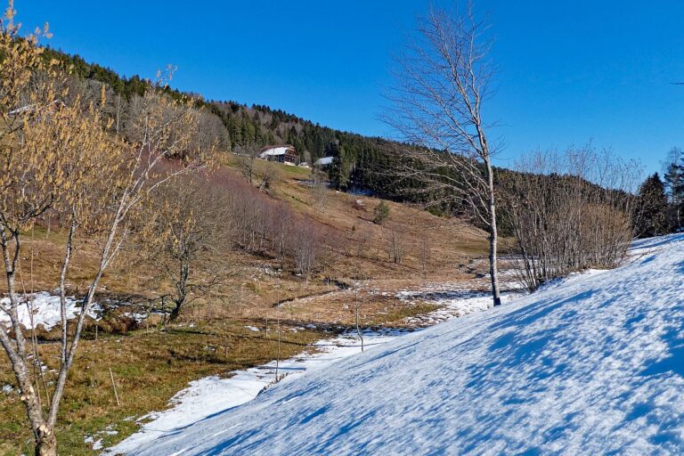Letzter Schnee in Tennenbronn 13
