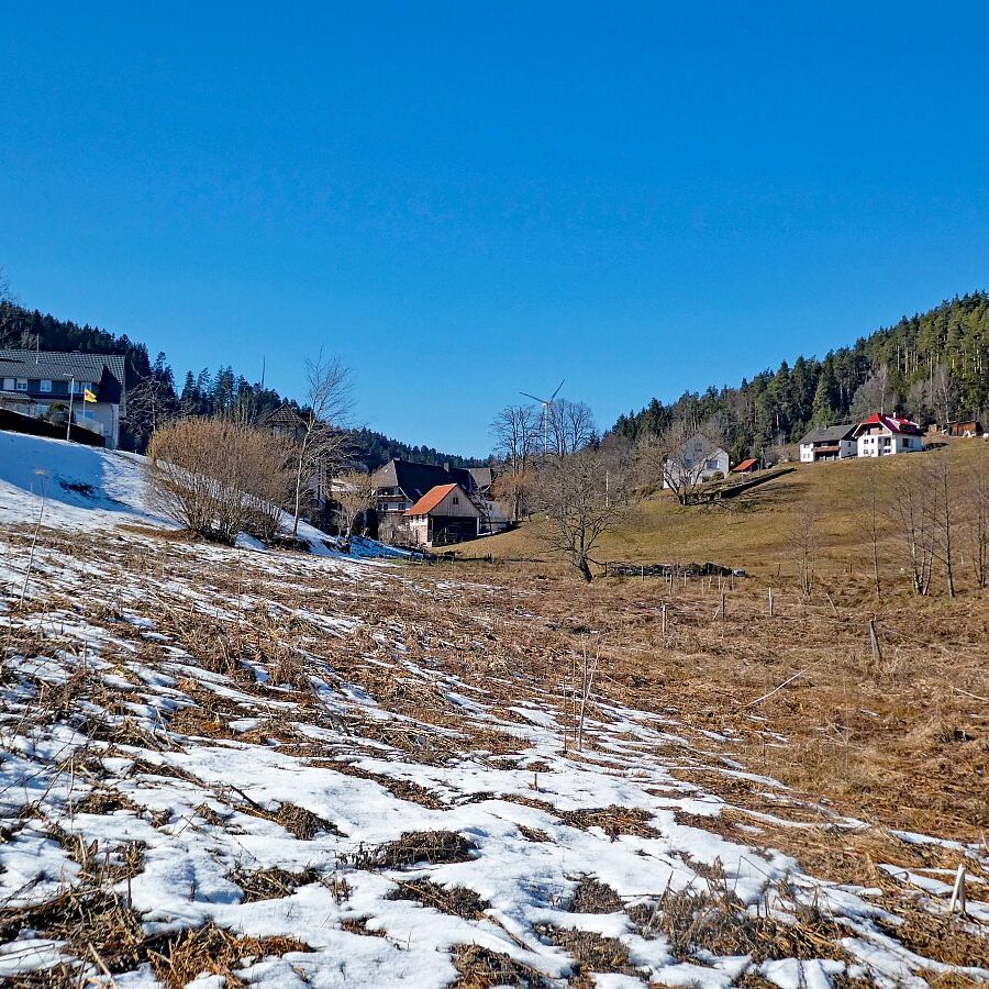 Letzter Schnee in Tennenbronn 14