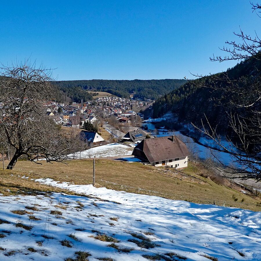 Letzter Schnee in Tennenbronn 2