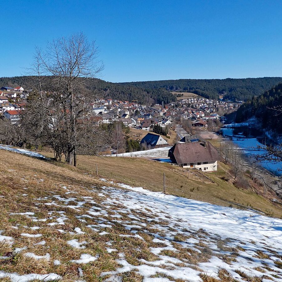 Letzter Schnee in Tennenbronn 3