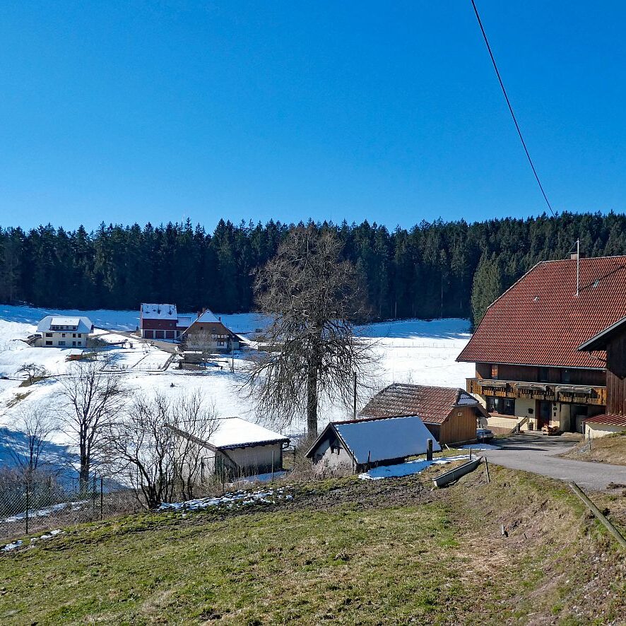 Letzter Schnee in Tennenbronn 4