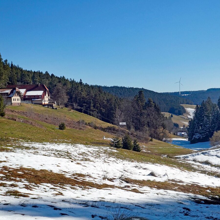 Letzter Schnee in Tennenbronn 6