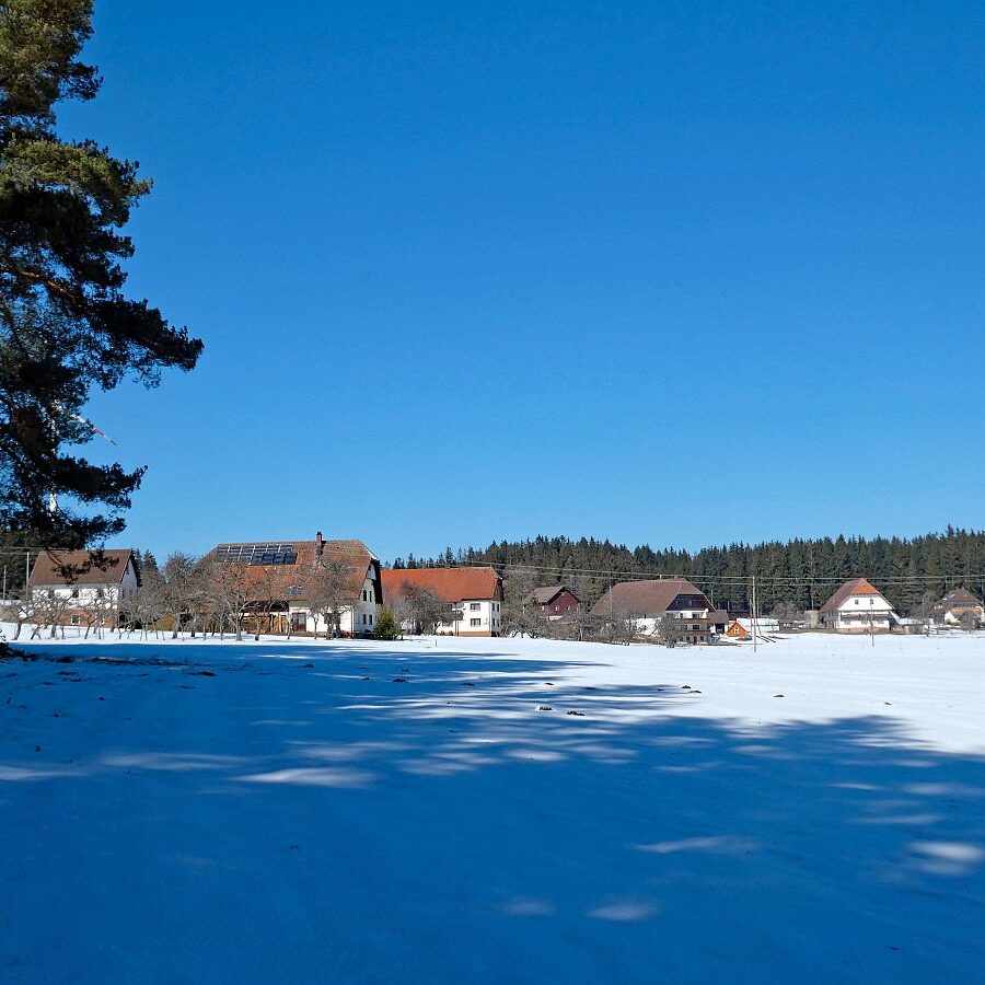 Letzter Schnee in Tennenbronn 7