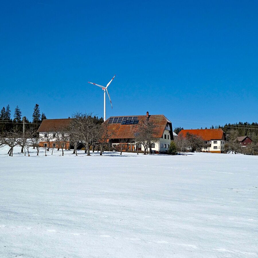 Letzter Schnee in Tennenbronn 8