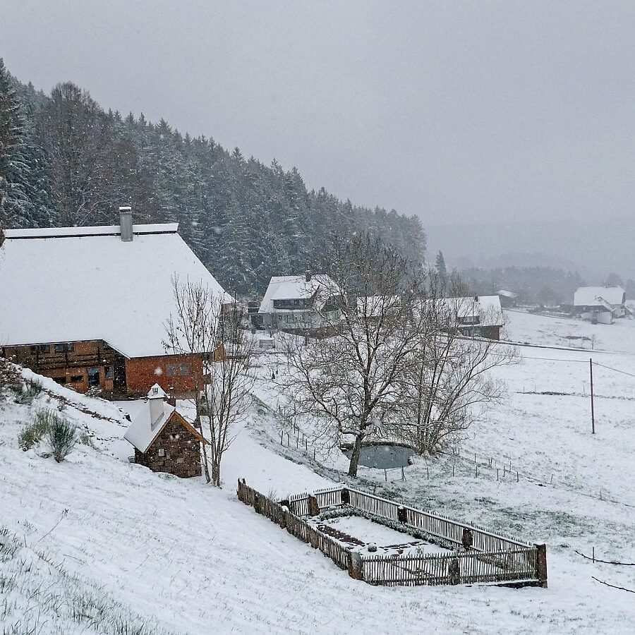 02Schnee im April in Tennenbronn im Schwarzwald 04