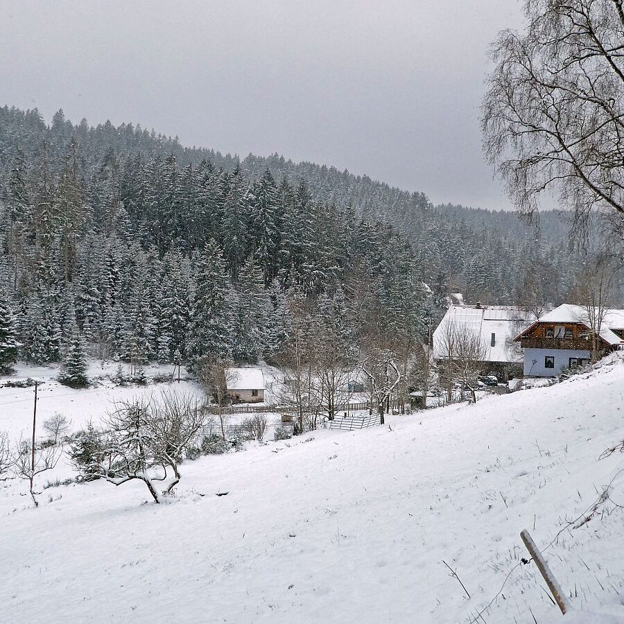 04Schnee im April in Tennenbronn im Schwarzwald 08
