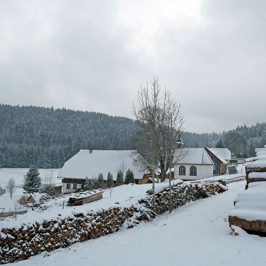 06Schnee im April in Tennenbronn im Schwarzwald 10