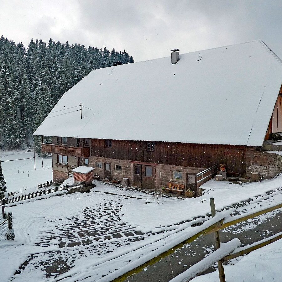 07Schnee im April in Tennenbronn im Schwarzwald 15
