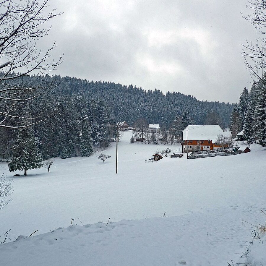 10Schnee im April in Tennenbronn im Schwarzwald 13