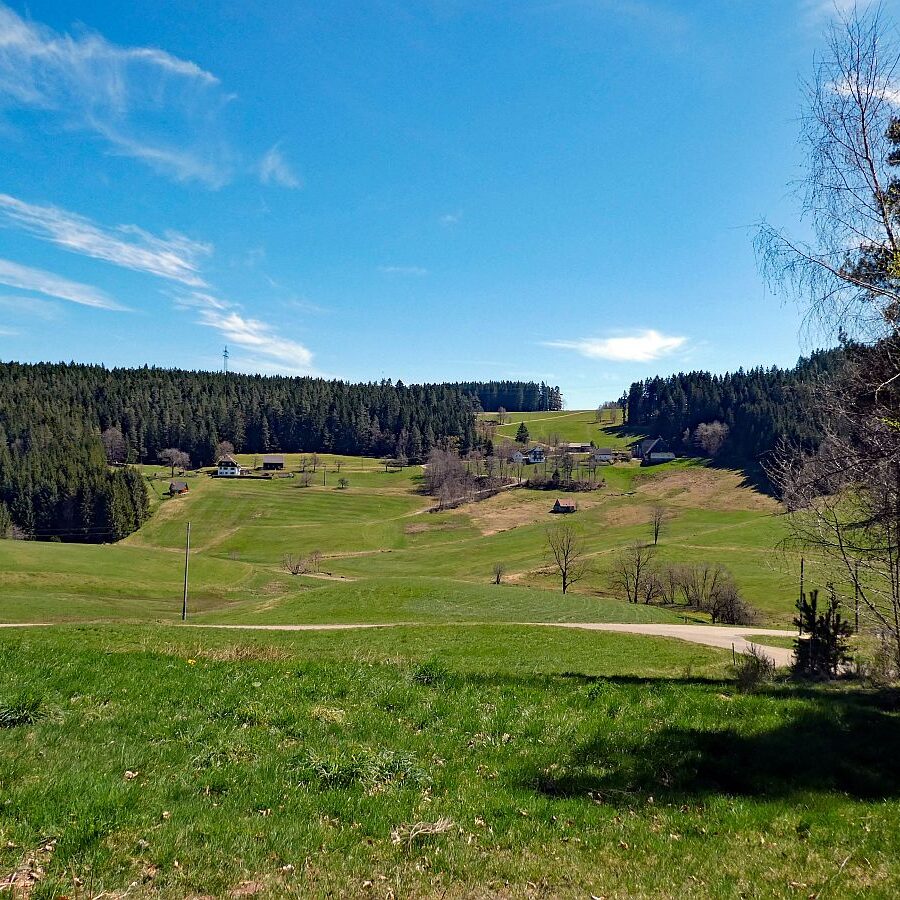 Rund um Langenschiltach Wanderweg 06