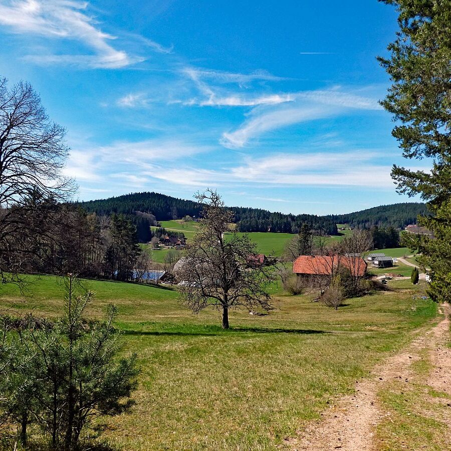 Rund um Langenschiltach Wanderweg 07