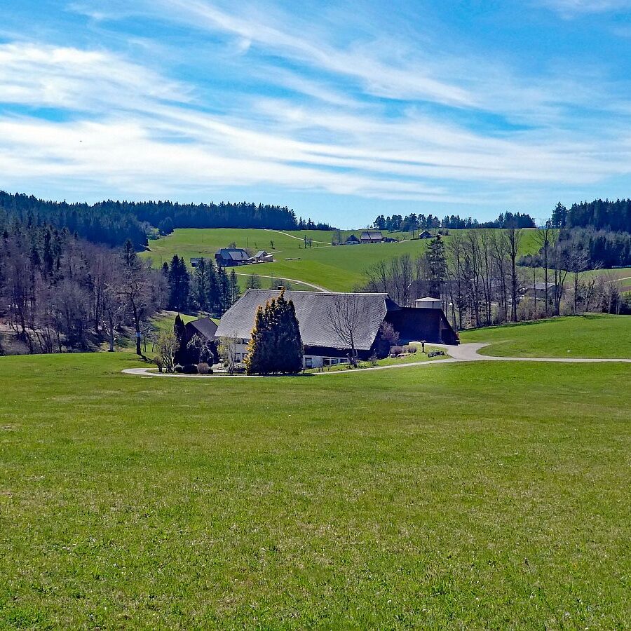 Rund um Langenschiltach Wanderweg 09