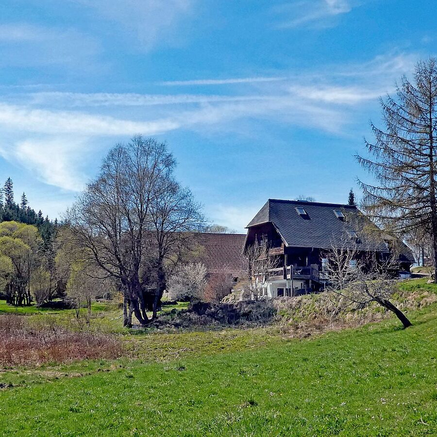 Rund um Langenschiltach Wanderweg 10