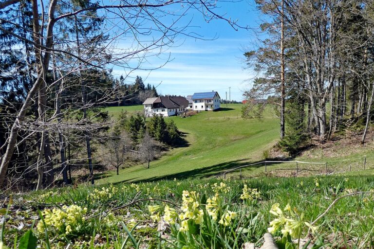 Rund um Langenschiltach Wanderweg 11