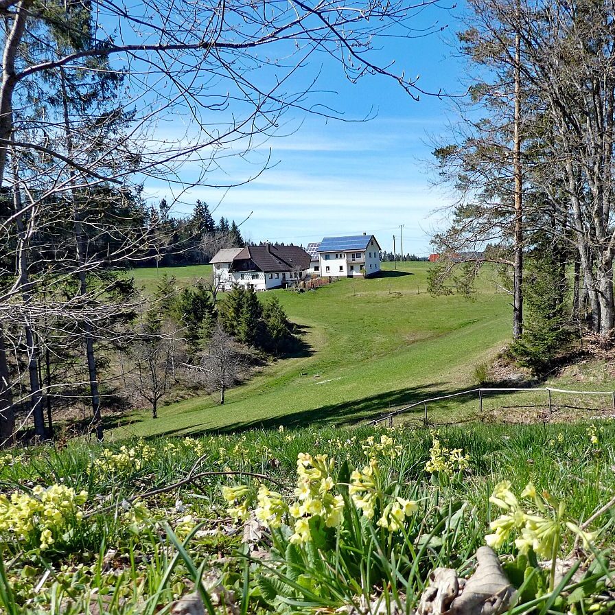 Rund um Langenschiltach Wanderweg 11