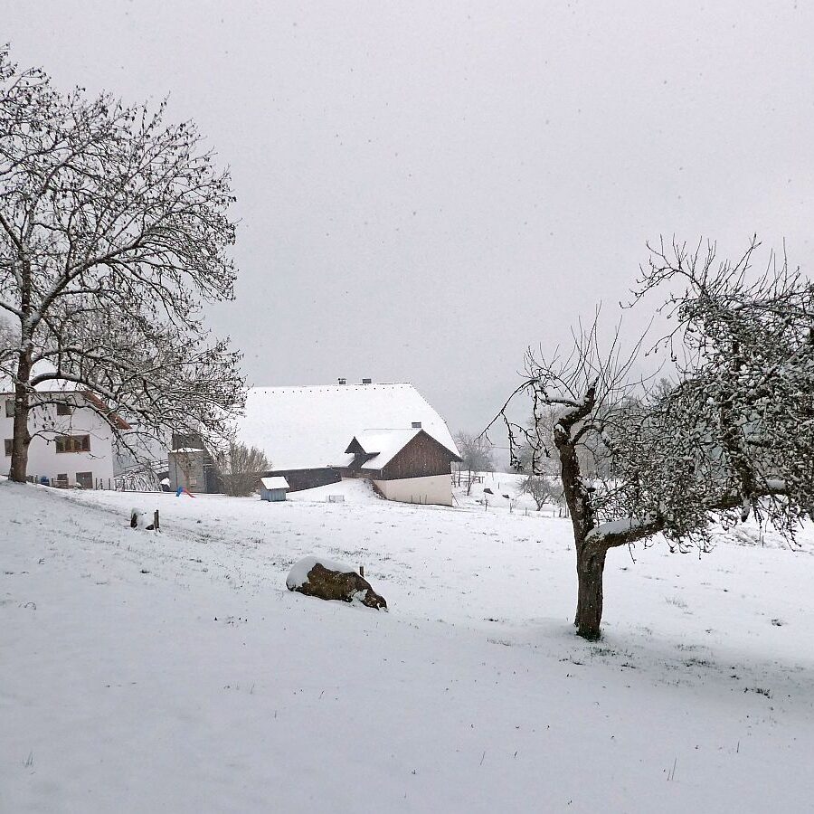 Schnee im April in Tennenbronn im Schwarzwald 02