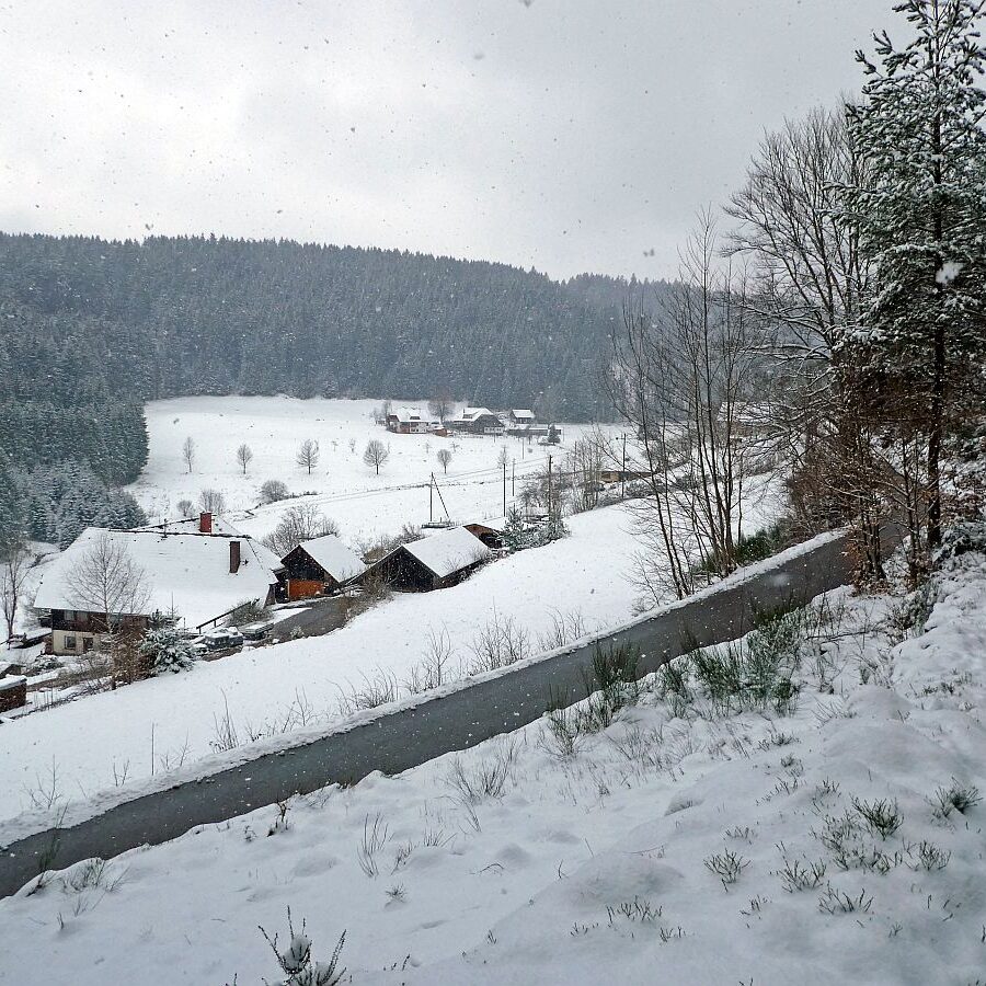 Schnee im April in Tennenbronn im Schwarzwald 07