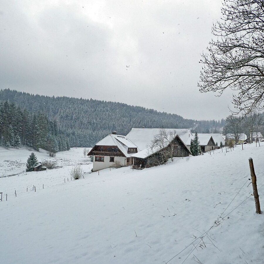 Schnee im April in Tennenbronn im Schwarzwald 09