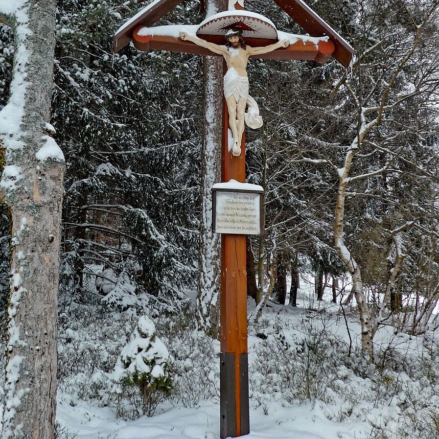 Schnee im April in Tennenbronn im Schwarzwald 14