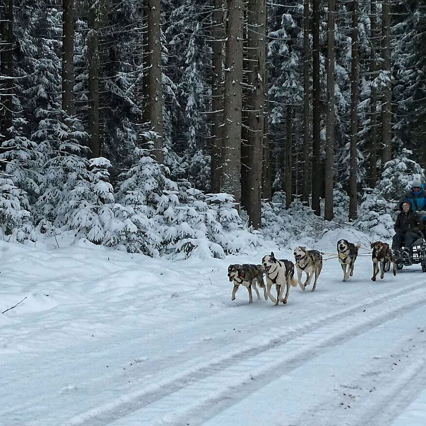 Schnee im April in Tennenbronn im Schwarzwald 18