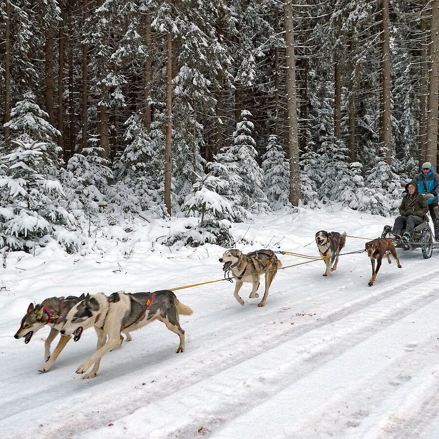 Schnee im April in Tennenbronn im Schwarzwald 19