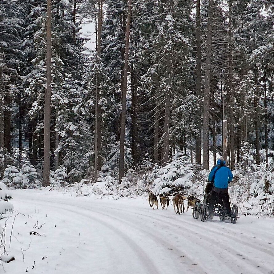 Schnee im April in Tennenbronn im Schwarzwald 20
