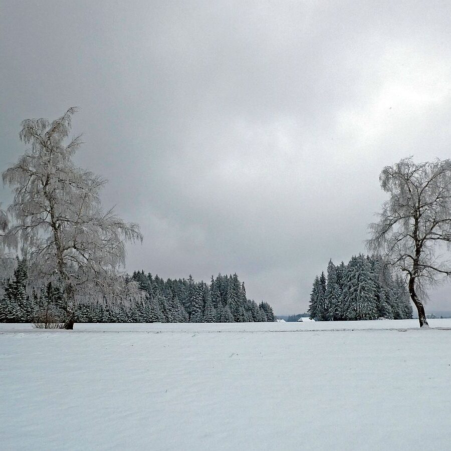 Schnee im April in Tennenbronn im Schwarzwald 23