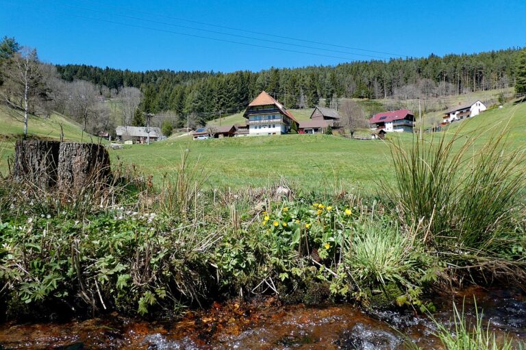 Unterschiltachtal in Tennenbronn 05