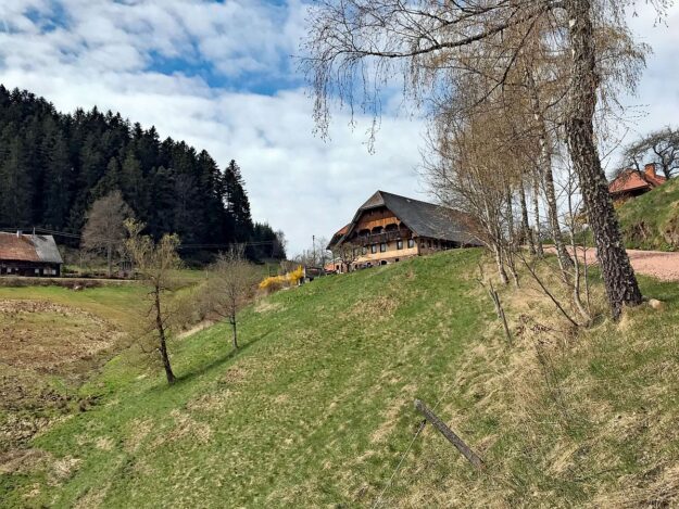 Wanderung von Schramberg ueber Reute Purpen Remsbach nach Tennenbronn 01 Wanderung von Schramberg ueber Reute Purpen Remsbach nach Tennenbronn 01