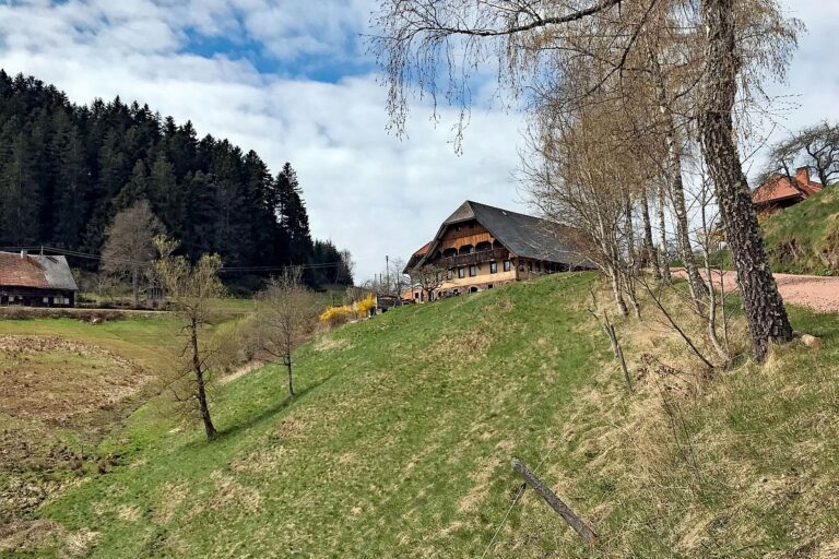 Wanderung von Schramberg ueber Reute Purpen Remsbach nach Tennenbronn 01