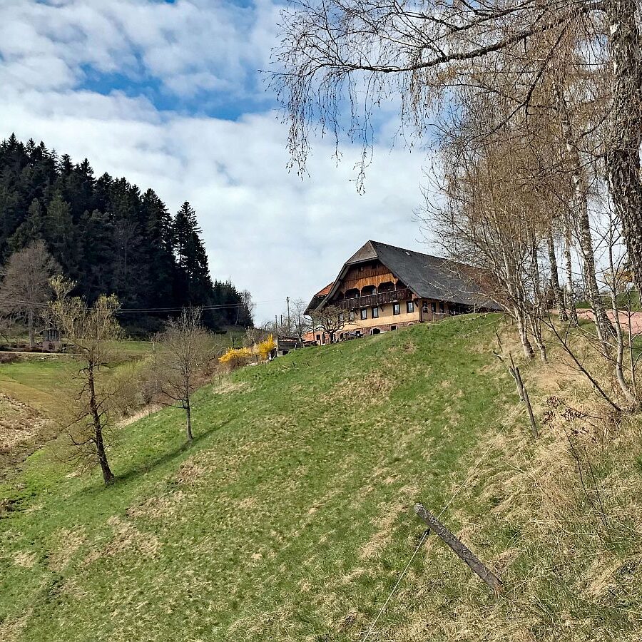 Wanderung von Schramberg ueber Reute Purpen Remsbach nach Tennenbronn 01