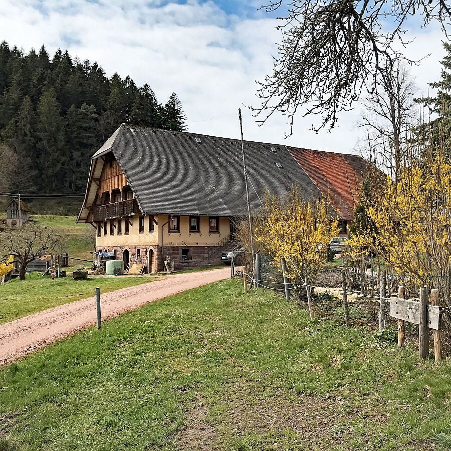 Wanderung von Schramberg ueber Reute Purpen Remsbach nach Tennenbronn 02