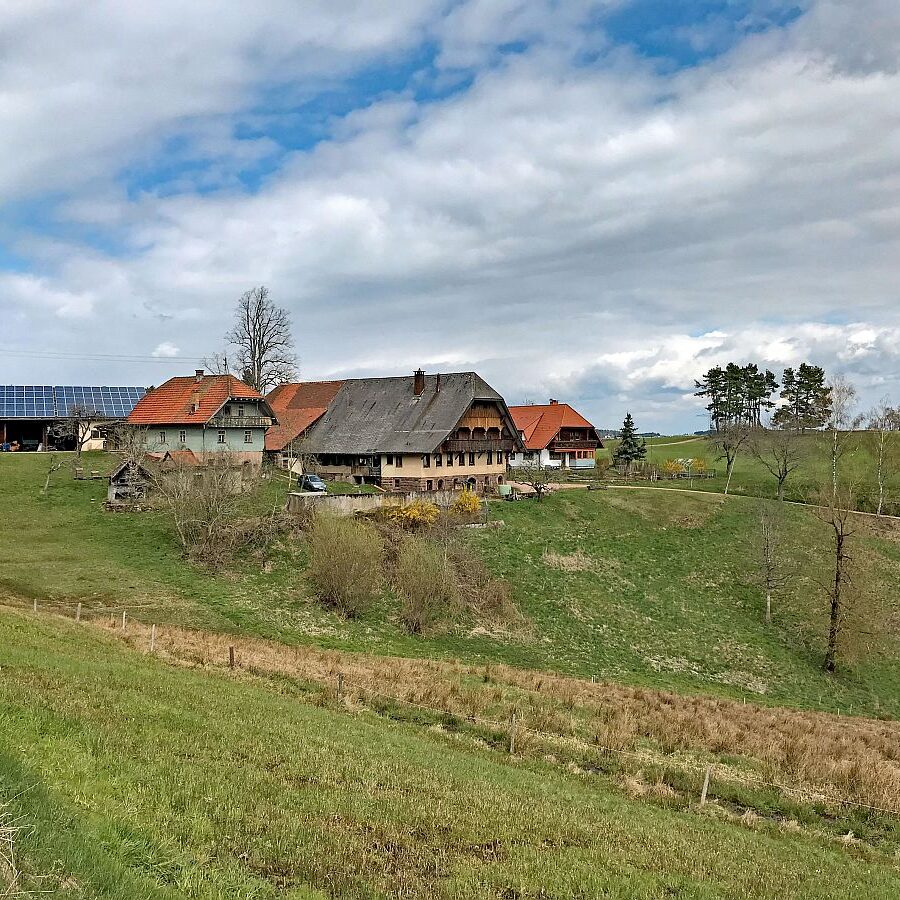 Wanderung von Schramberg ueber Reute Purpen Remsbach nach Tennenbronn 03