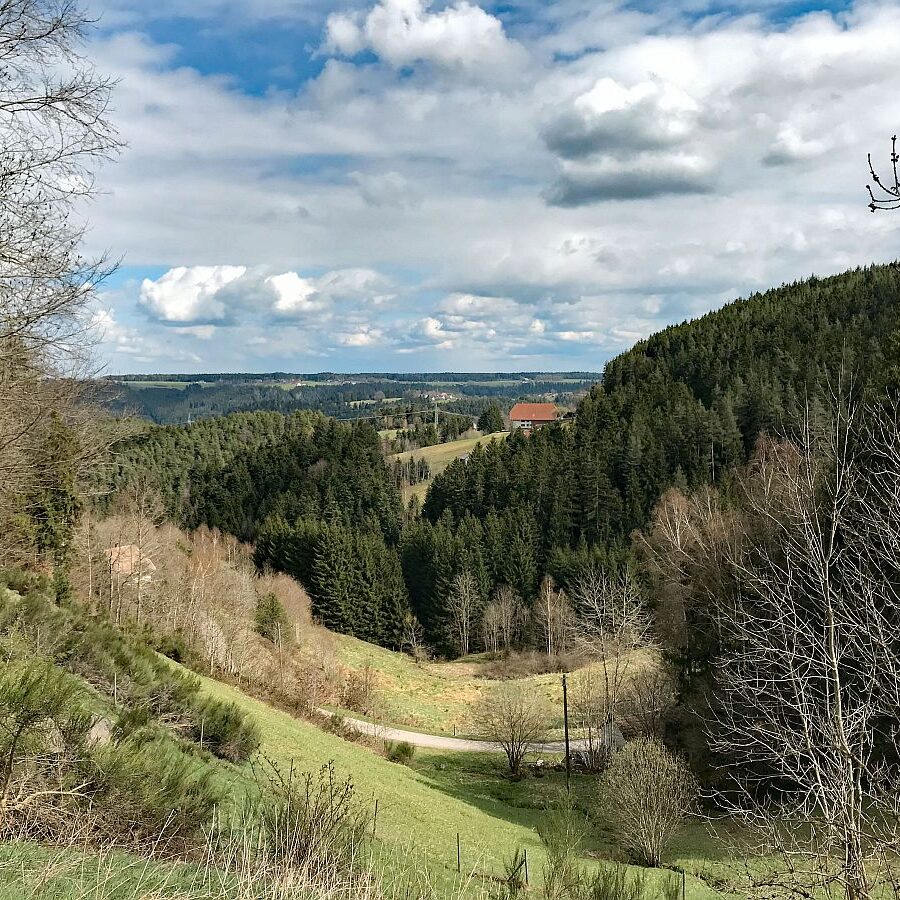 Wanderung von Schramberg ueber Reute Purpen Remsbach nach Tennenbronn 04