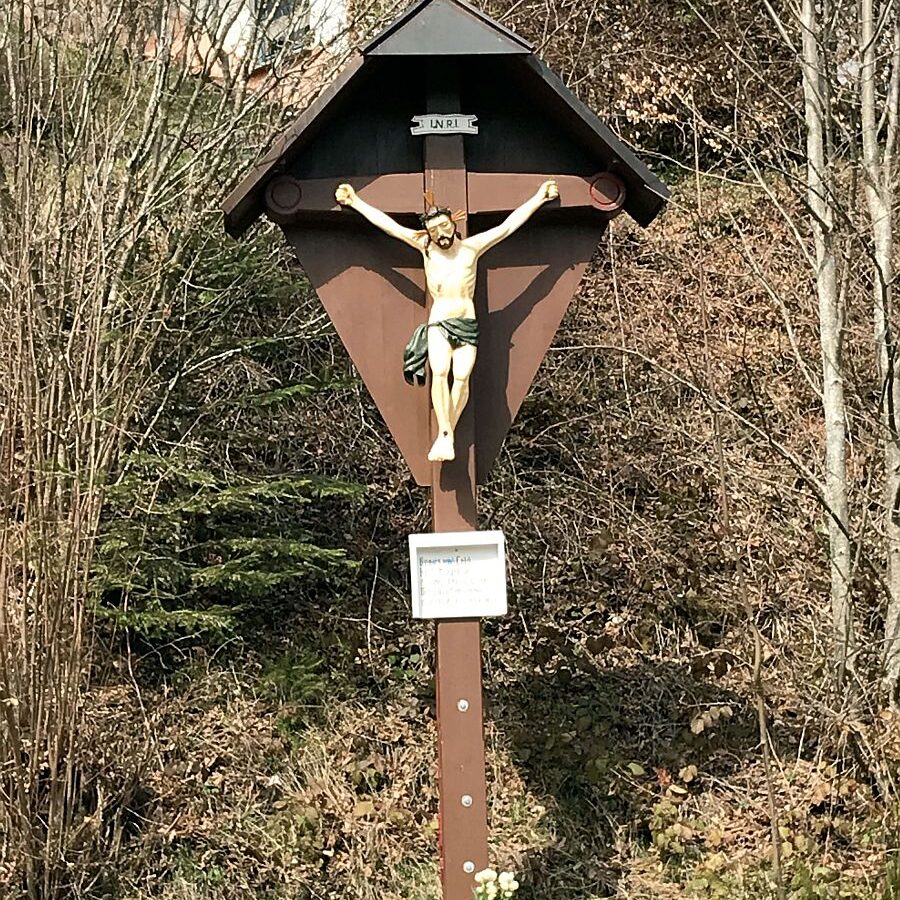 Wanderung von Schramberg ueber Reute Purpen Remsbach nach Tennenbronn 05