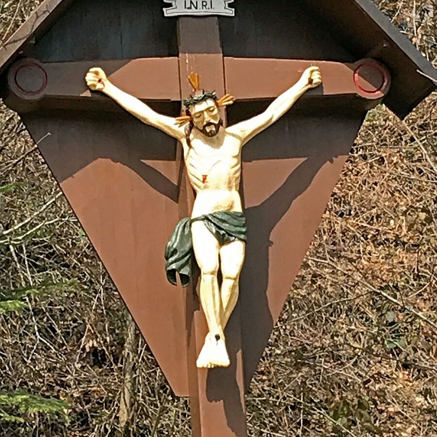 Wanderung von Schramberg ueber Reute Purpen Remsbach nach Tennenbronn 06