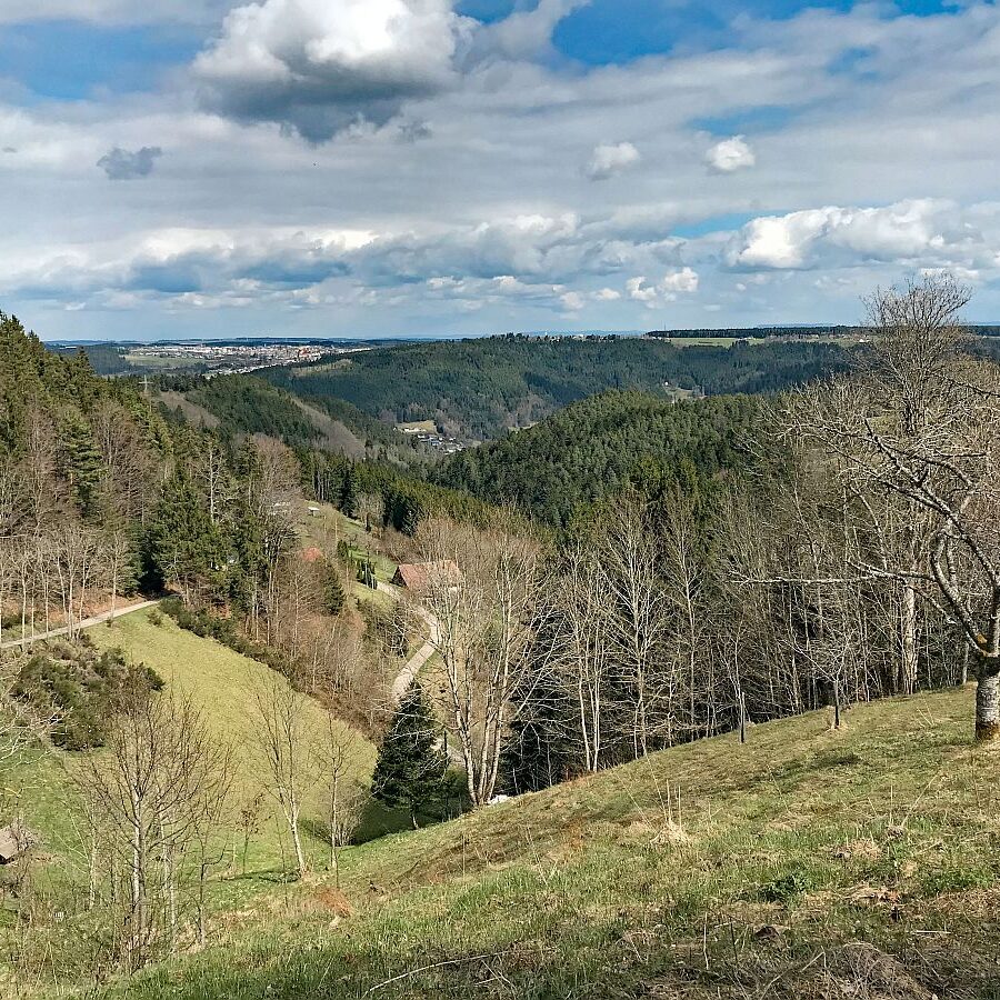 Wanderung von Schramberg ueber Reute Purpen Remsbach nach Tennenbronn 07